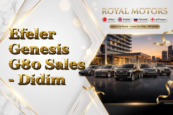 Efeler Genesis G80 Sales - Didim