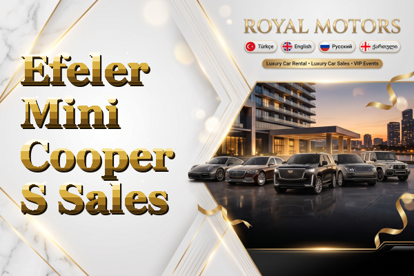 Efeler Mini Cooper S Sales