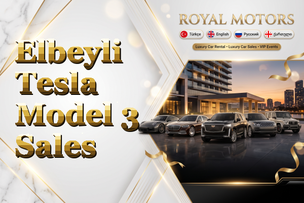 Elbeyli Tesla Model 3 Sales