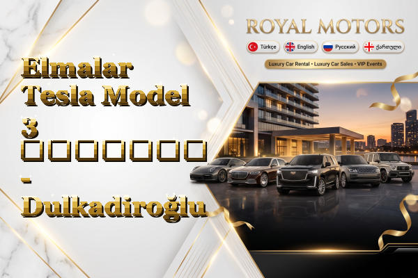 Elmalar Tesla Model 3 გაყიდვა - Dulkadiroğlu