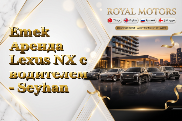 Emek Аренда Lexus NX с водителем - Seyhan
