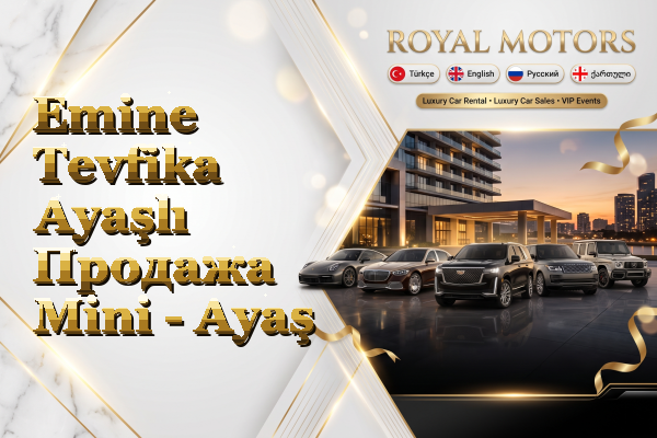 Emine Tevfika Ayaşlı Продажа Mini - Ayaş