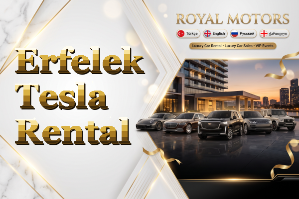 Erfelek Tesla Rental
