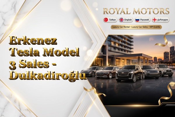 Erkenez Tesla Model 3 Sales - Dulkadiroğlu