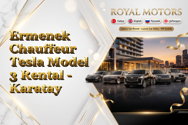 Ermenek Chauffeur Tesla Model 3 Rental - Karatay