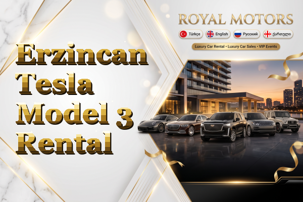 Erzincan Tesla Model 3 Rental