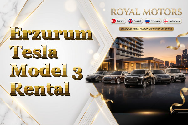 Erzurum Tesla Model 3 Rental