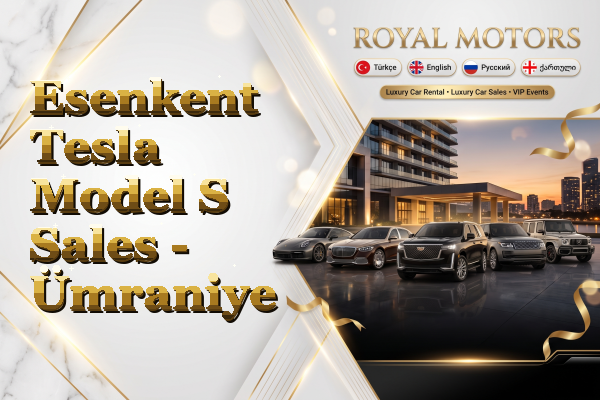 Esenkent Tesla Model S Sales - Ümraniye
