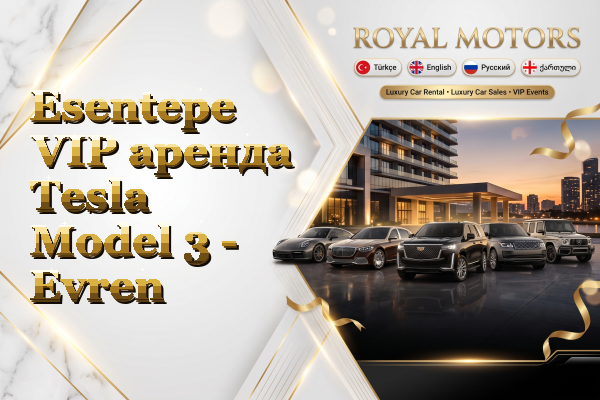 Esentepe VIP аренда Tesla Model 3 - Evren