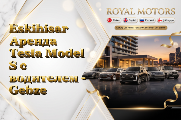 Eskihisar Аренда Tesla Model S с водителем - Gebze