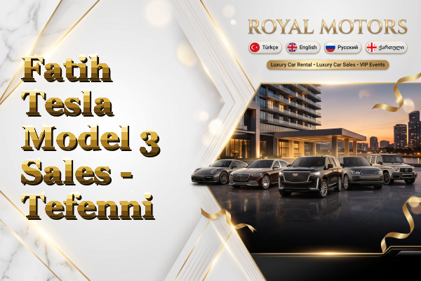 Fatih Tesla Model 3 Sales - Tefenni