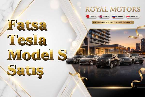 Fatsa Tesla Model S Satış