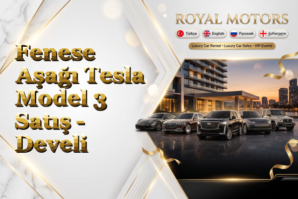 Fenese Aşağı Tesla Model 3 Satış - Develi