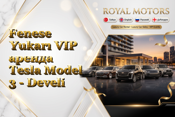 Fenese Yukarı VIP аренда Tesla Model 3 - Develi