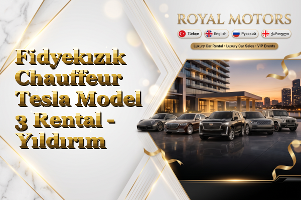 Fidyekızık Chauffeur Tesla Model 3 Rental - Yıldırım