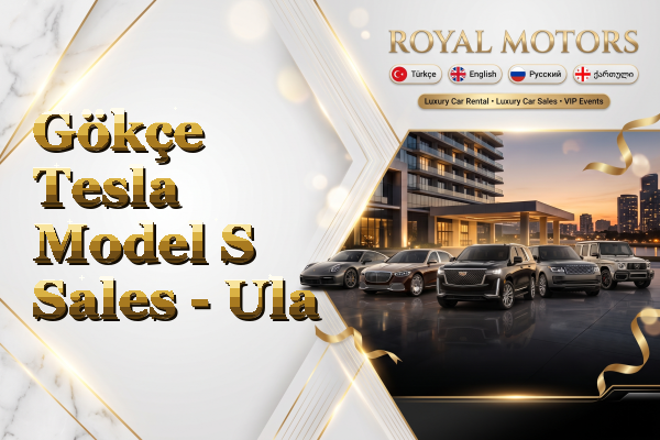 Gökçe Tesla Model S Sales - Ula