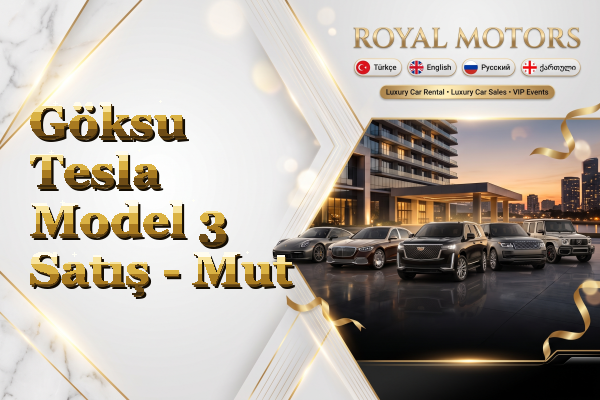 Göksu Tesla Model 3 Satış - Mut