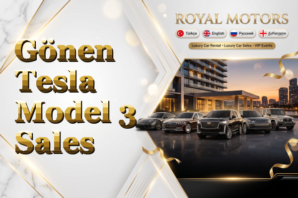 Gönen Tesla Model 3 Sales