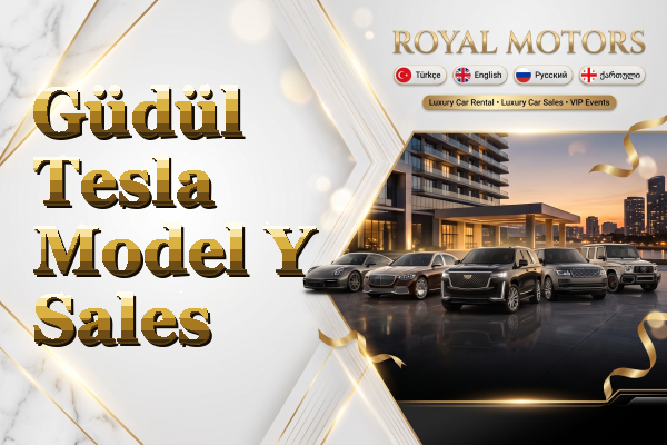 Güdül Tesla Model Y Sales