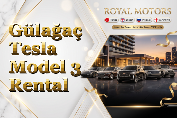 Gülağaç Tesla Model 3 Rental