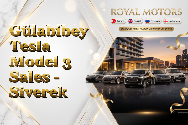 Gülabibey Tesla Model 3 Sales - Siverek