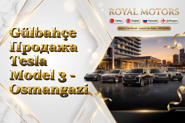 Gülbahçe Продажа Tesla Model 3 - Osmangazi