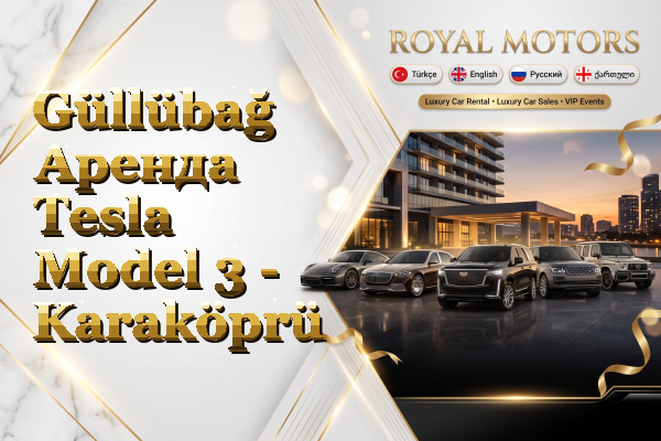 Güllübağ Аренда Tesla Model 3 - Karaköprü