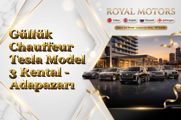 Güllük Chauffeur Tesla Model 3 Rental - Adapazarı