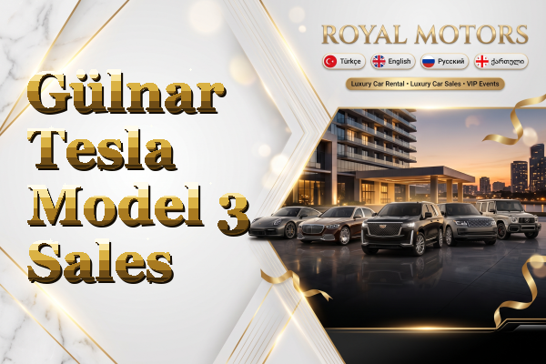 Gülnar Tesla Model 3 Sales