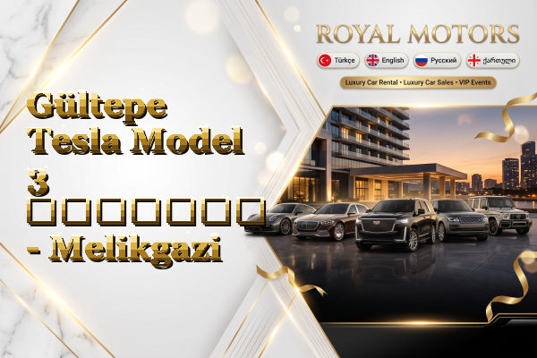 Gültepe Tesla Model 3 გაყიდვა - Melikgazi