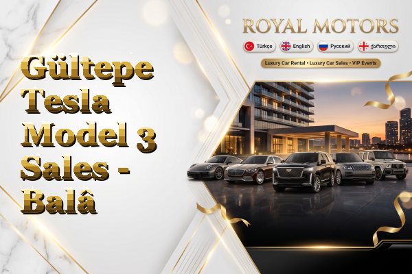 Gültepe Tesla Model 3 Sales - Balâ