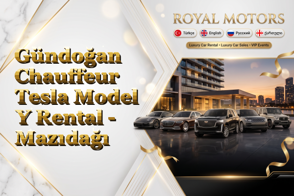 Gündoğan Chauffeur Tesla Model Y Rental - Mazıdağı