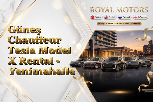 Güneş Chauffeur Tesla Model X Rental - Yenimahalle