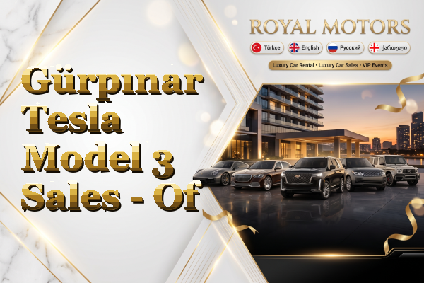 Gürpınar Tesla Model 3 Sales - Of