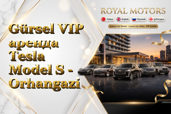 Gürsel VIP аренда Tesla Model S - Orhangazi