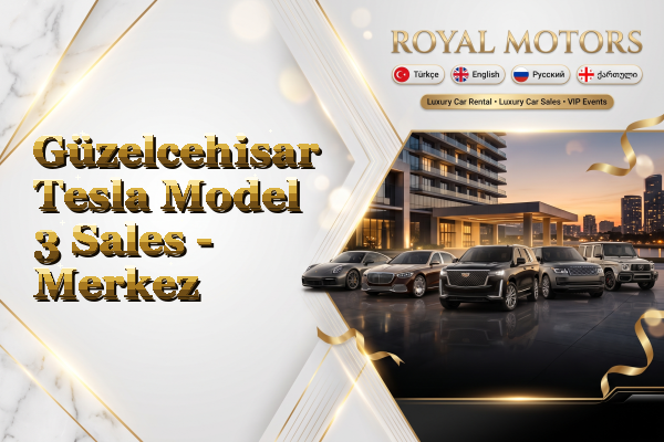 Güzelcehisar Tesla Model 3 Sales - Merkez