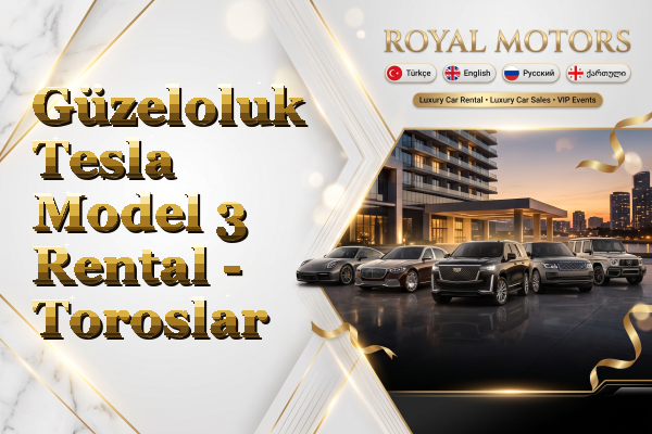 Güzeloluk Tesla Model 3 Rental - Toroslar