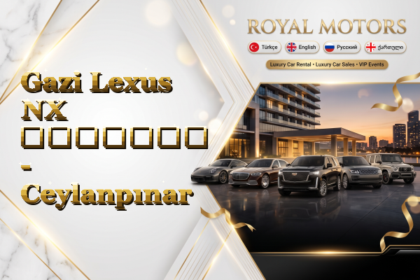 Gazi Lexus NX გაყიდვა - Ceylanpınar