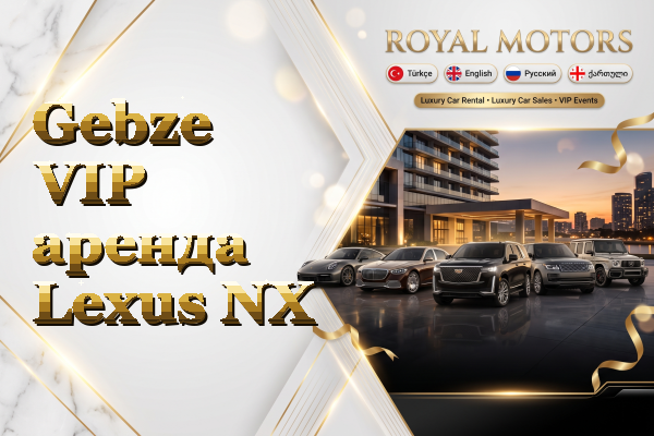 Gebze VIP аренда Lexus NX