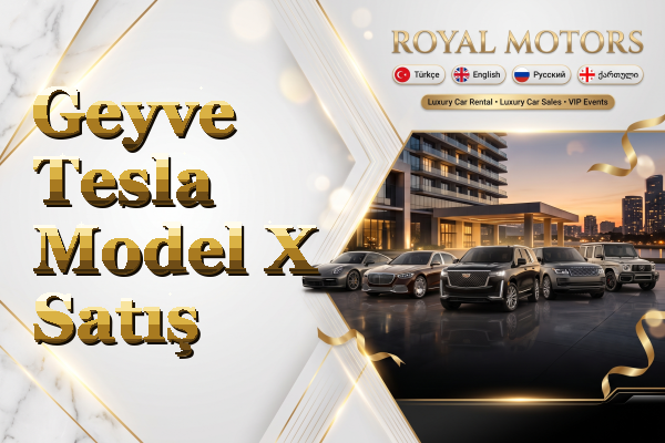 Geyve Tesla Model X Satış