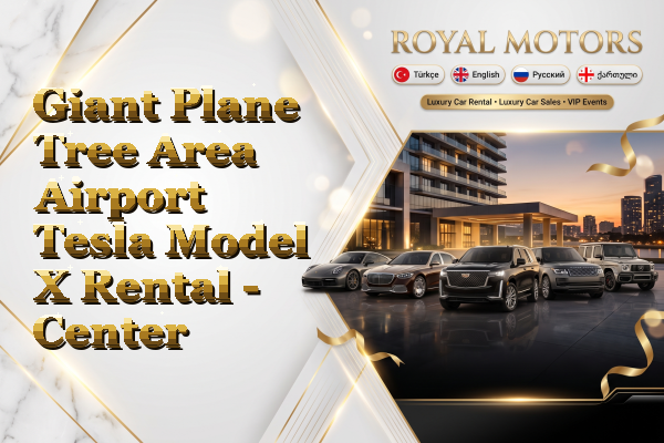 Giant Plane Tree Area Airport Tesla Model X Rental - Center