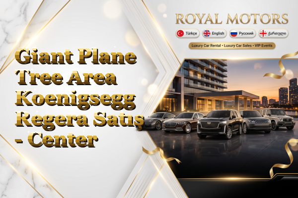 Giant Plane Tree Area Koenigsegg Regera Satış - Center