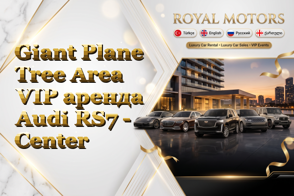 Giant Plane Tree Area VIP аренда Audi RS7 - Center