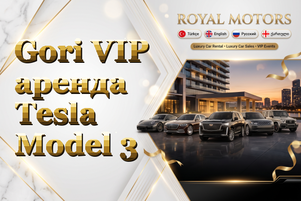 Gori VIP аренда Tesla Model 3