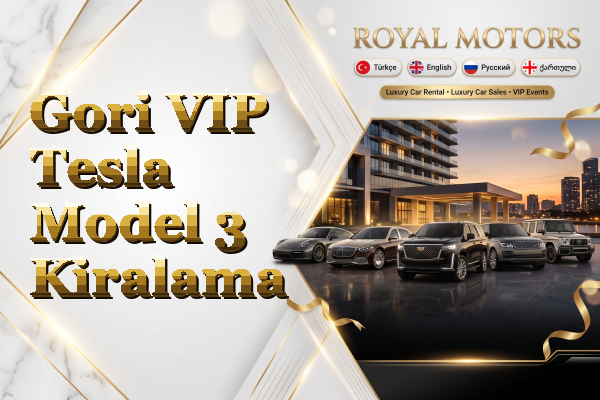 Gori VIP Tesla Model 3 Kiralama