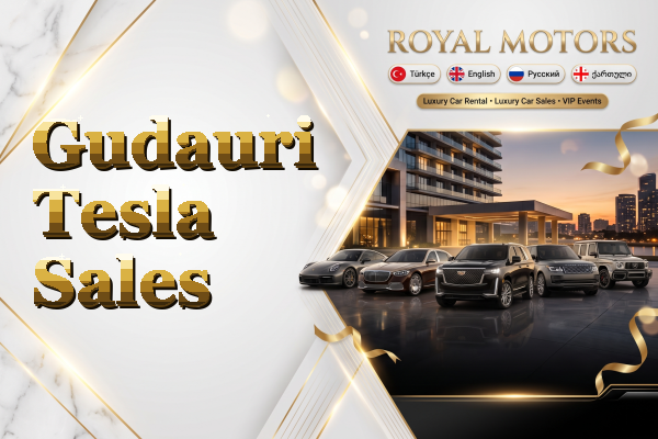 Gudauri Tesla Sales