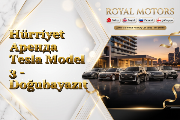 Hürriyet Аренда Tesla Model 3 - Doğubayazıt