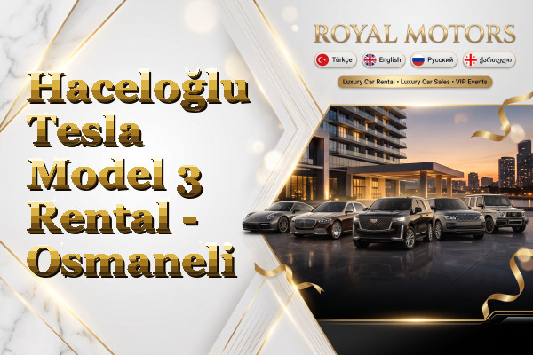 Haceloğlu Tesla Model 3 Rental - Osmaneli