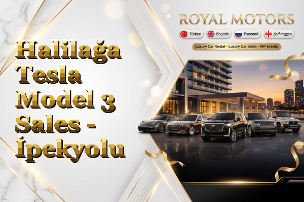 Halilağa Tesla Model 3 Sales - İpekyolu