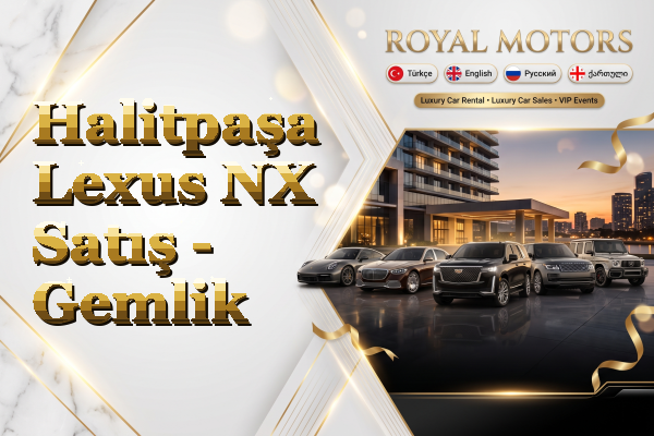 Halitpaşa Lexus NX Satış - Gemlik